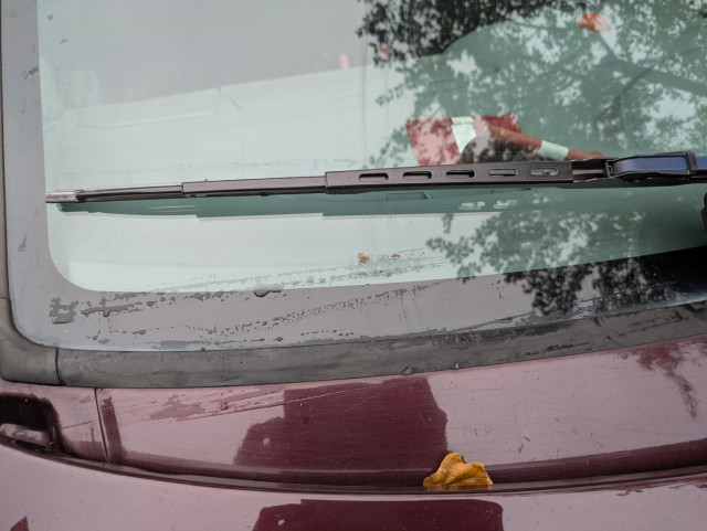 PXL_20251004_085545014 (Large).jpg