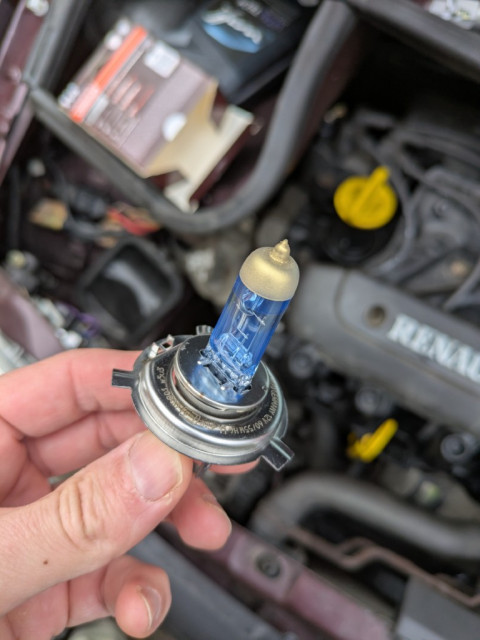 PXL_20251130_090722775 (Medium).jpg