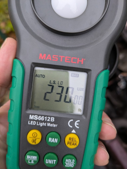 PXL_20251130_090519397 (Medium).jpg