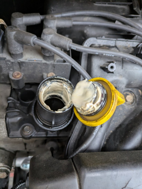 PXL_20251130_091313523 (Medium).jpg